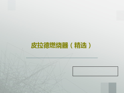 皮拉德燃烧器(精选)PPT文档共26页