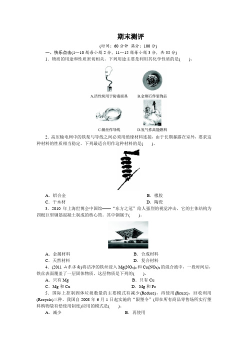 化学鲁教版九年级下期末测评(附答案)