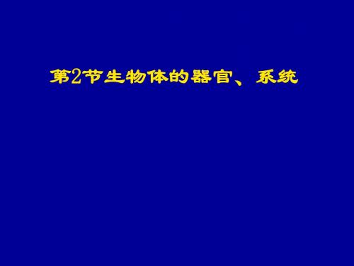 生物体的器官、系统PPT课件2