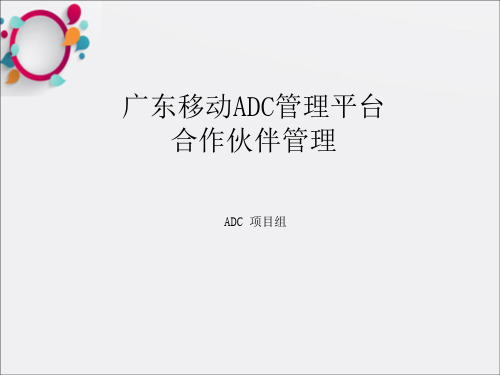《合作伙伴管理》PPT课件