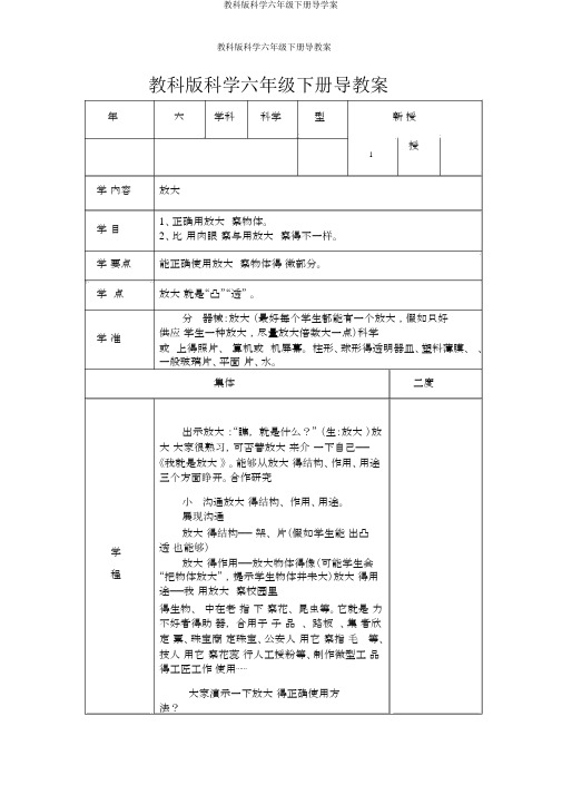 教科版科学六年级下册导学案
