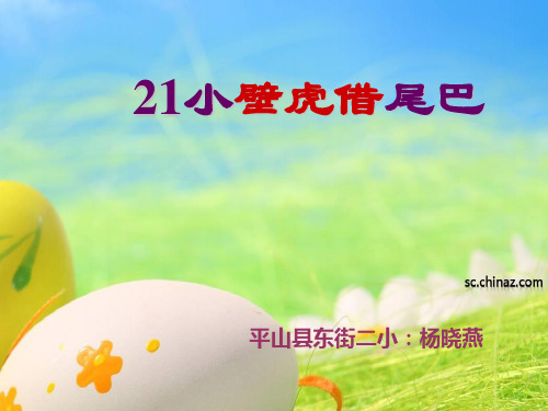 新版一年级下册-21.《小壁虎借尾巴》｜人教部编版(共23张PPT)
