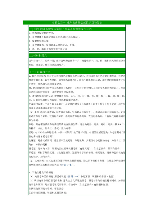 养禽学实验