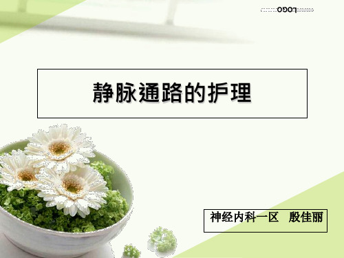 静脉通路的护理PPT课件