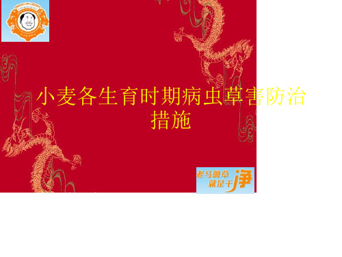 小麦各生育时期病虫草害防治措施