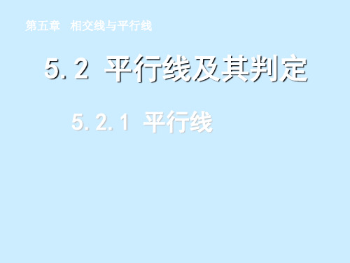 人教版七年级数学下册 5.2.1 平行线  (共18张PPT)