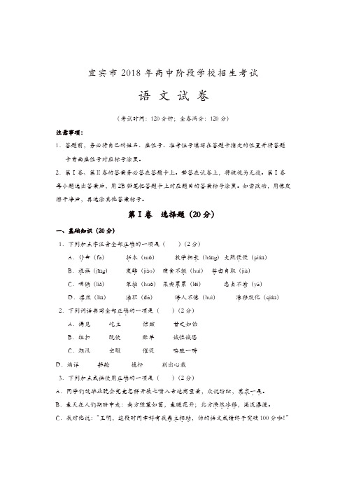四川省宜宾市2018年中考语文试卷