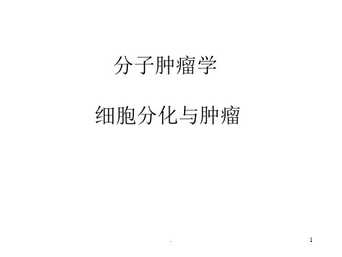 分子肿瘤学PPT课件