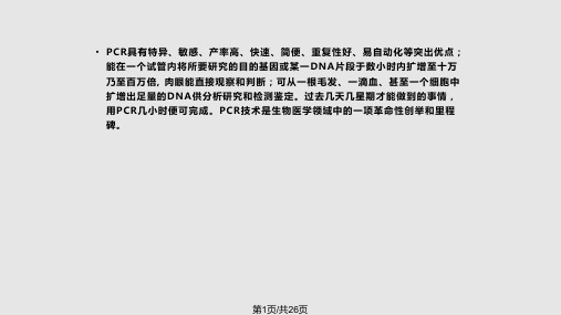 聚合酶链反应技术PPT课件