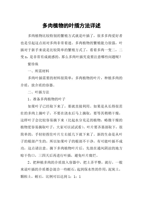 多肉植物的叶插方法详述