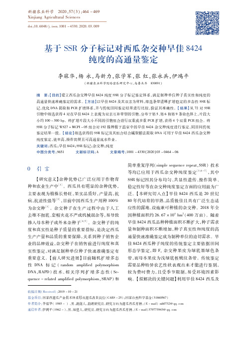基于ssr分子标记对西瓜杂交种早佳8424纯度的高通量鉴定