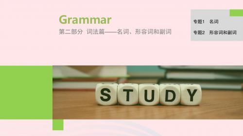 2019高考英语语法突破四大篇第二部分专题1名词课件