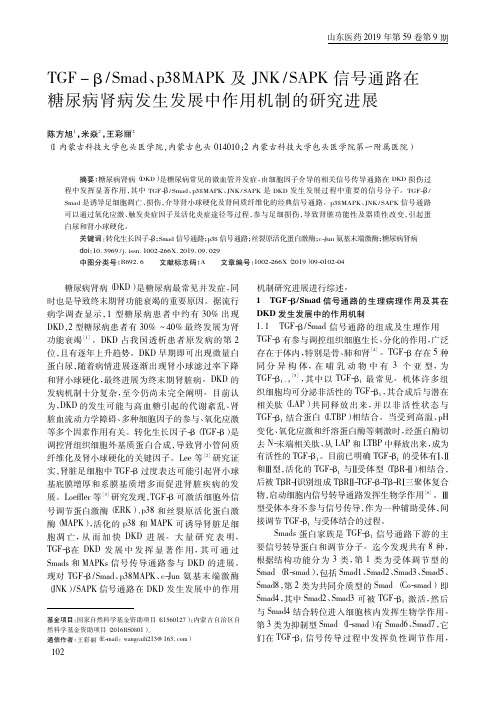 TGFβSmad、p38MAPK及JNKSAPK信号通路在糖尿病肾病发生发展中作用机制的研究进展