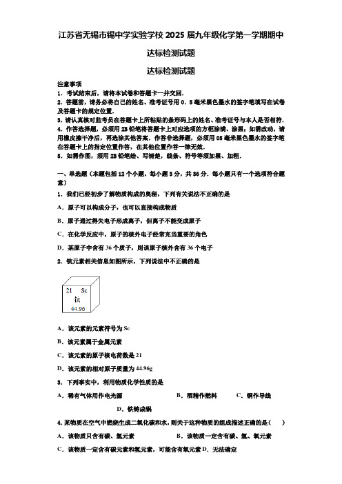 江苏省无锡市锡中学实验学校2025届九年级化学第一学期期中达标检测试题含解析