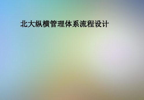 北大纵横管理体系流程设计
