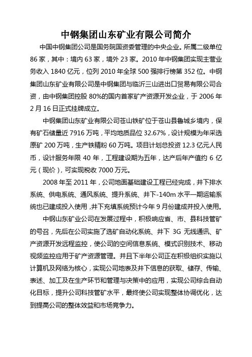 中钢集团山东矿业有限公司简介(修订版)(1)[2]