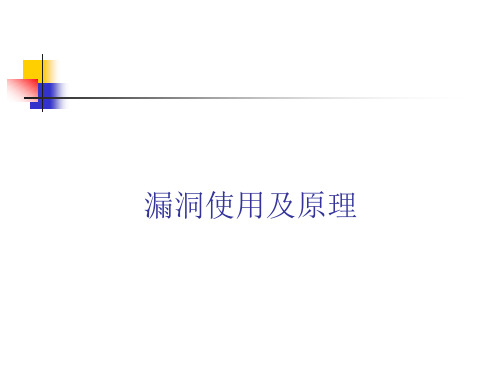 漏洞使用及原理