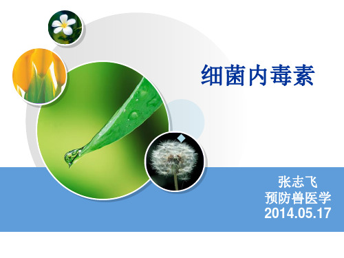 内毒素PPT