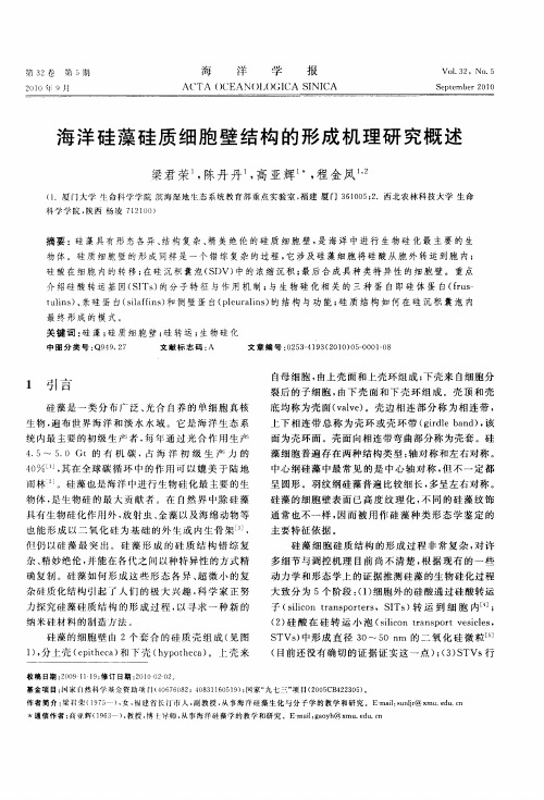 海洋硅藻硅质细胞壁结构的形成机理研究概述