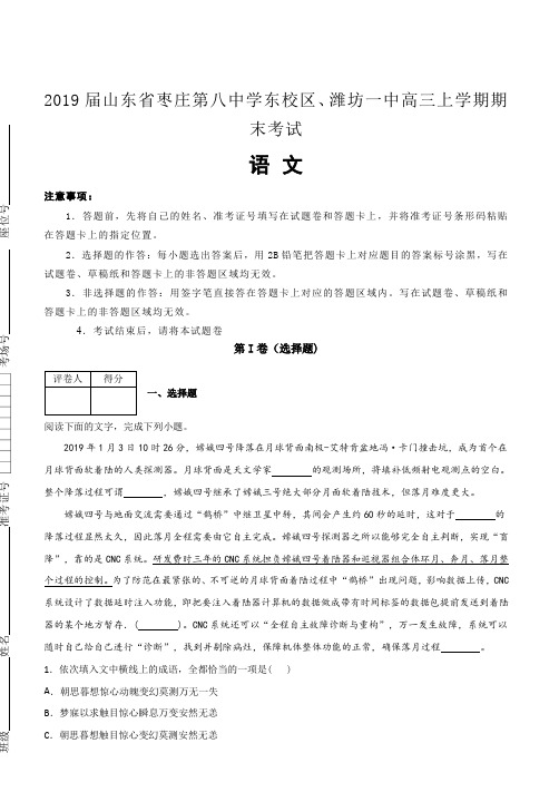 山东省枣庄第八中学2019届东校区、潍坊一中高三上学期期末考试语文试卷(含解析)