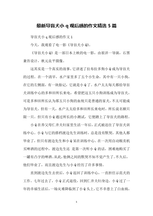 最新导盲犬小q观后感的作文精选5篇