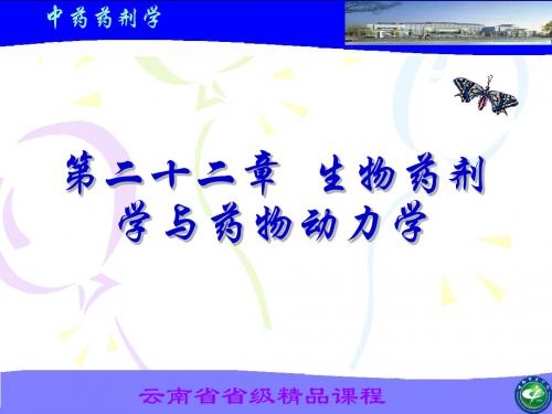 第二十二章  生物药剂学与药物动力学