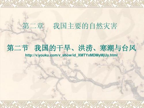2.2 我国的干旱、洪涝、寒潮与台风(课件)