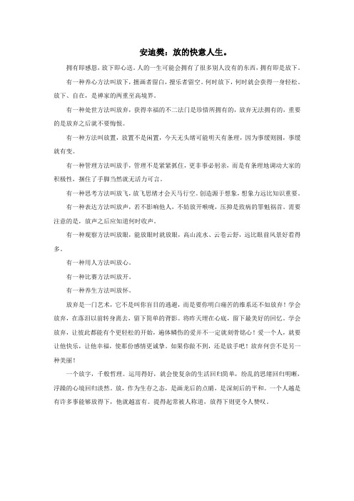安迪樊：放的快意人生。