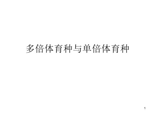 多倍体育种与单倍体育种PPT课件