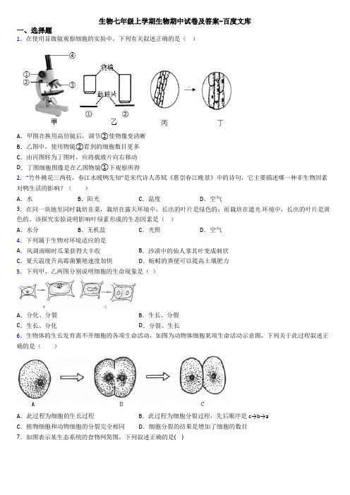 生物七年级上学期生物期中试卷及答案-百度文库