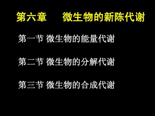 第六章 微生物的新陈代谢