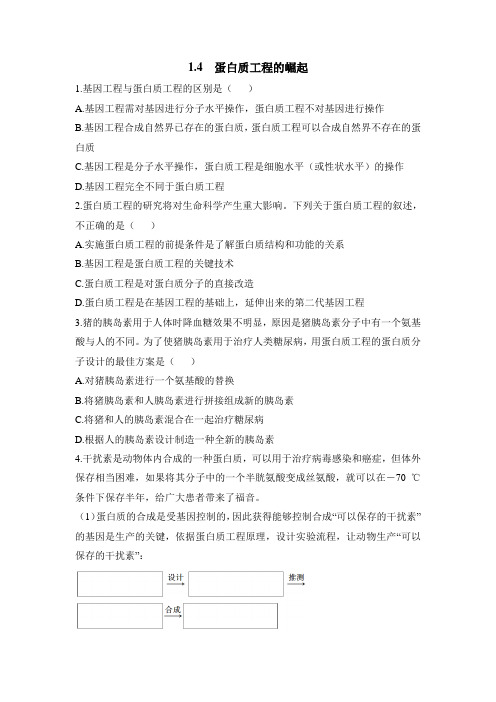 人教版高中生物选修3 1.4《蛋白质工程的崛起》能力提升