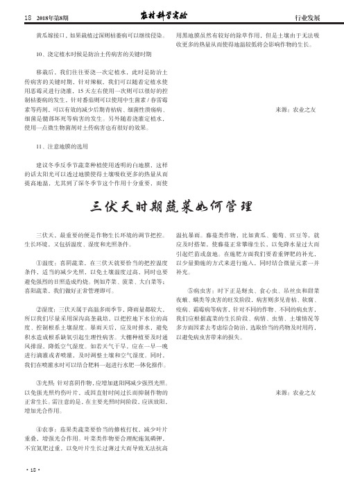 三伏天时期蔬菜如何管理