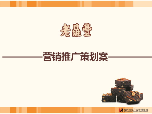老鼎丰营销推广策划全版02.23