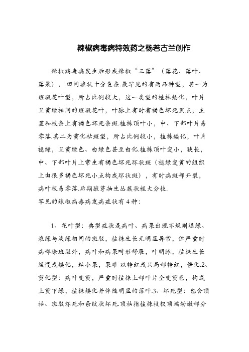 病毒病辣椒特效药
