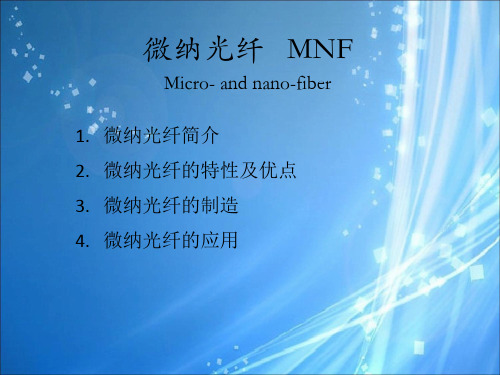 微纳光纤