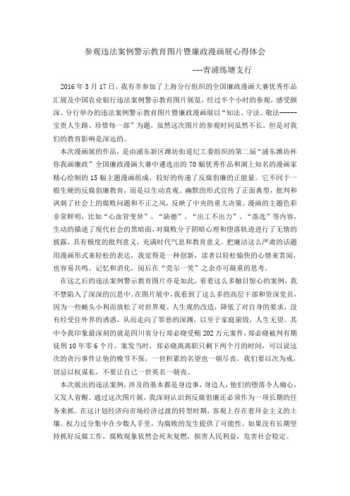 参观违法案例警示教育图片暨廉政漫画展心得体会