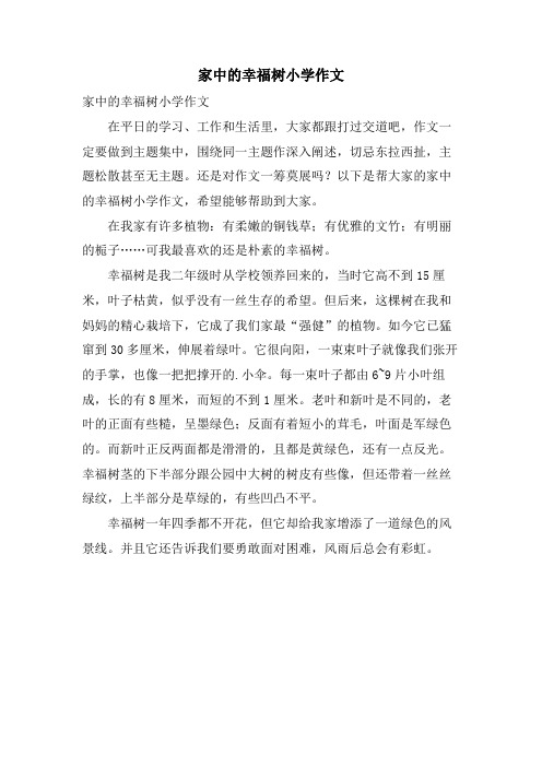 家中的幸福树小学作文