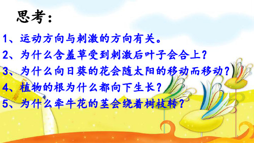 【推荐】六年级上册科学课件-1.1植物角里的科学问题 课后习题  ｜大象版 (共8张PPT)