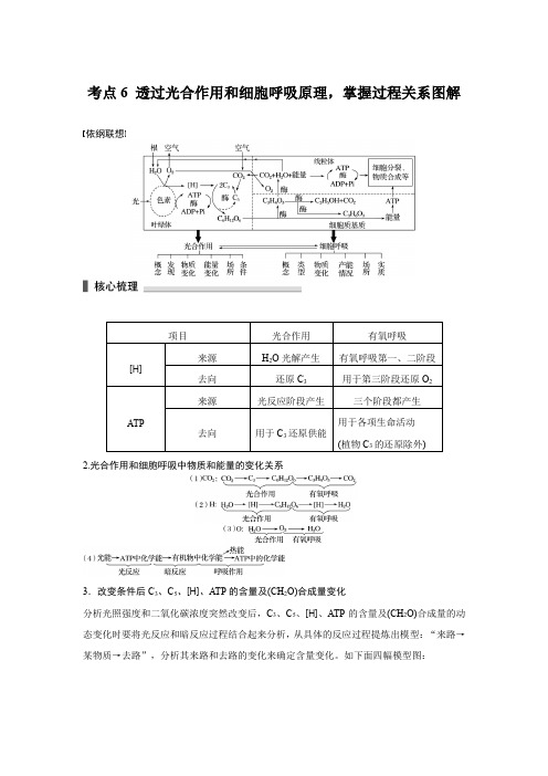 考点6 透过光合作用和细胞呼吸原理,掌握过程关系图解