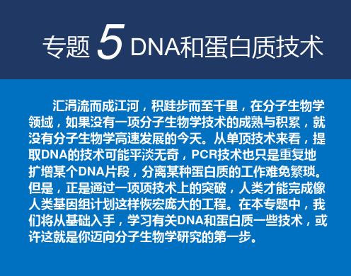 专题5DNA和蛋白质技术