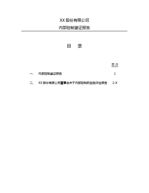 IPO内部控制鉴证模板2009汇总
