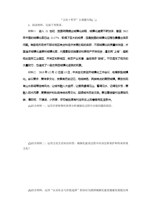 文化 哲学主观题专练