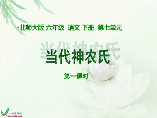 六年级语文当代神农氏课件2