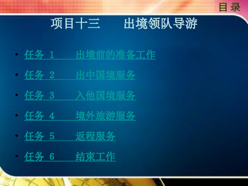 出境领队导游
