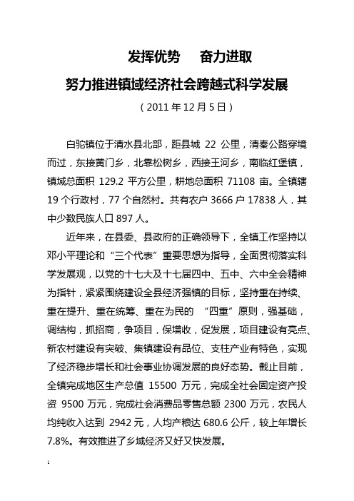 白驼镇推动经济社会发展的经验材料
