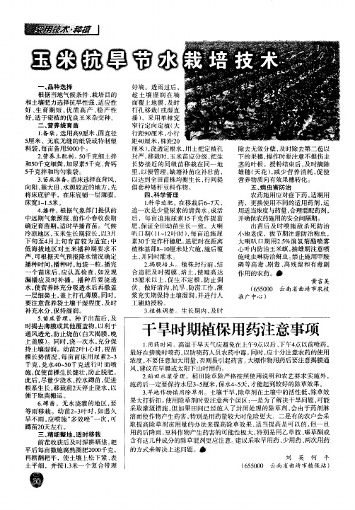 玉米抗旱节水栽培技术