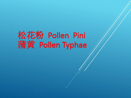 中药鉴定：松花粉