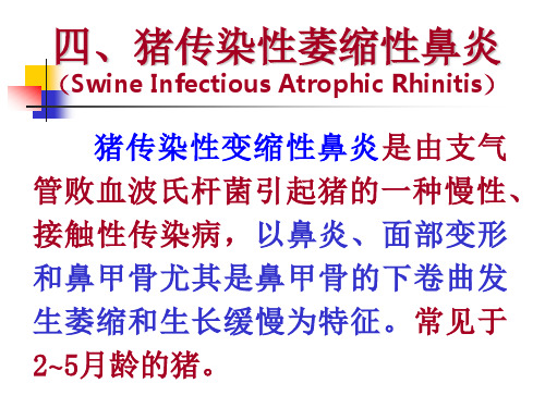 猪萎缩性鼻炎 PPT课件