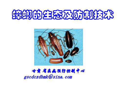 蟑螂的生态危害及防制精品PPT课件